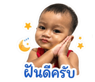 876149981