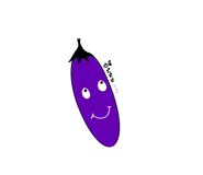 876155537