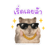 876162771