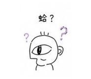 876172646