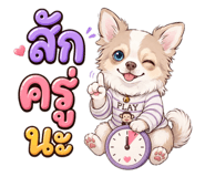 876185531