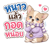 876185558