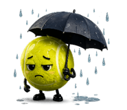 876187314