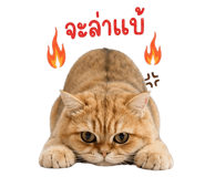 876191942