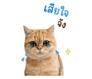 876191957