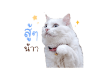 876198961