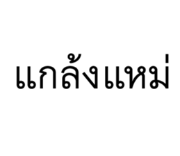วอดส์ คนไทยคุยอะไรกัน 13