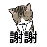 876223907