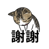 876223915