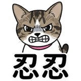 876223919