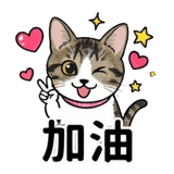 876223925