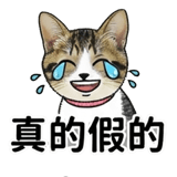 876223934
