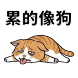 876228061