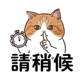 876228071