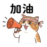 876228081
