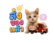 876237132