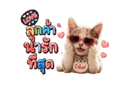 876237142