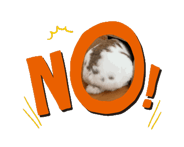 876251831