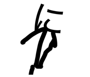 876256031