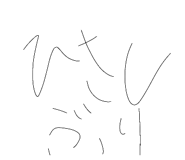 876256667