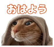 876306536