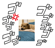 876314783