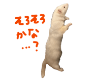 876325139