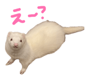 876325146