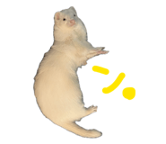 876325148