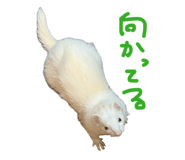 876325152