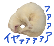 876325155