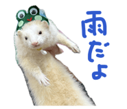876325158