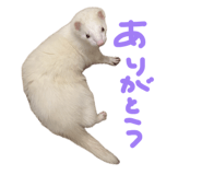 876325164
