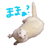 876325165