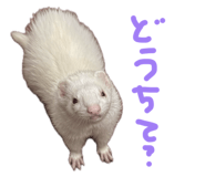 876325169