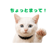 876332569
