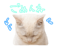 876332580
