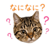 876333305