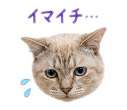 876333312