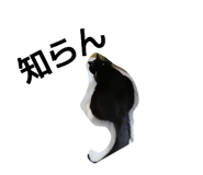 876334265