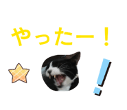 876334267