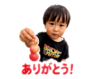 876337517