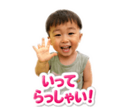 876337523