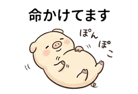 876342535