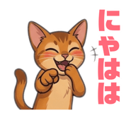 876353060