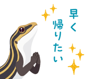 876358895