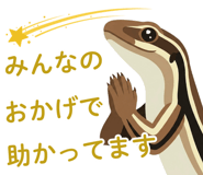 876358896
