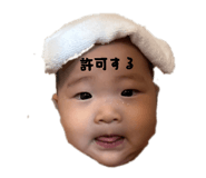 876368513