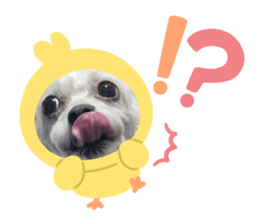876376570