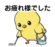 876378205